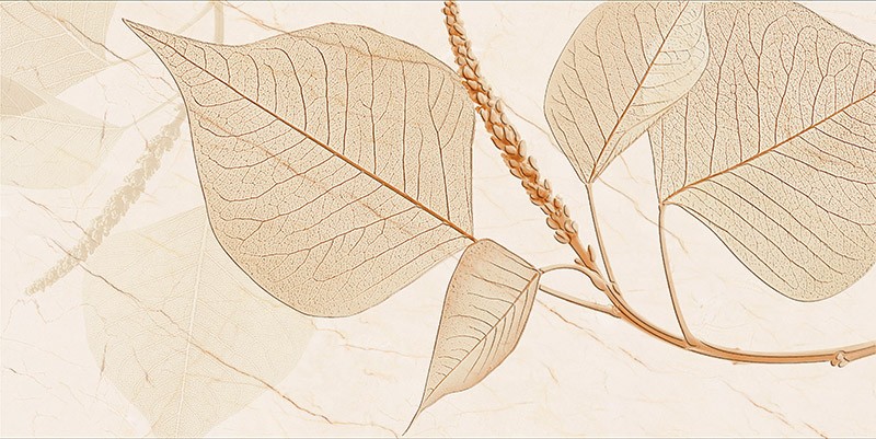 H63203P201B